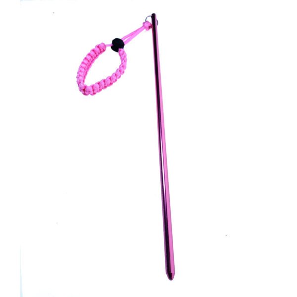 Dive Pointer - Image 4