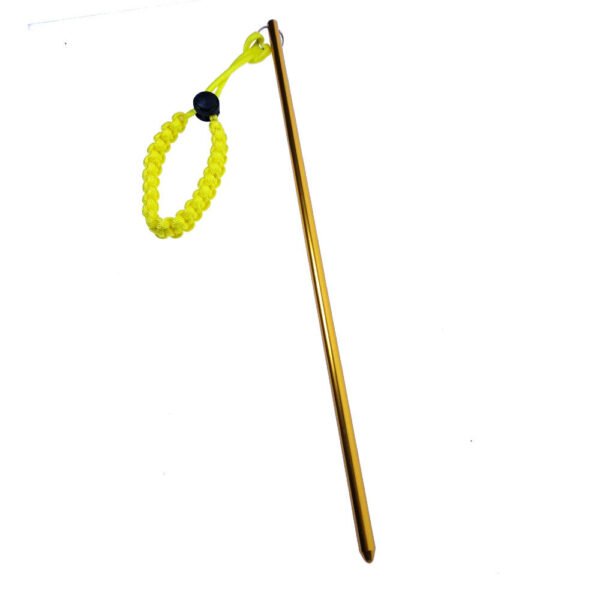 Dive Pointer - Image 3